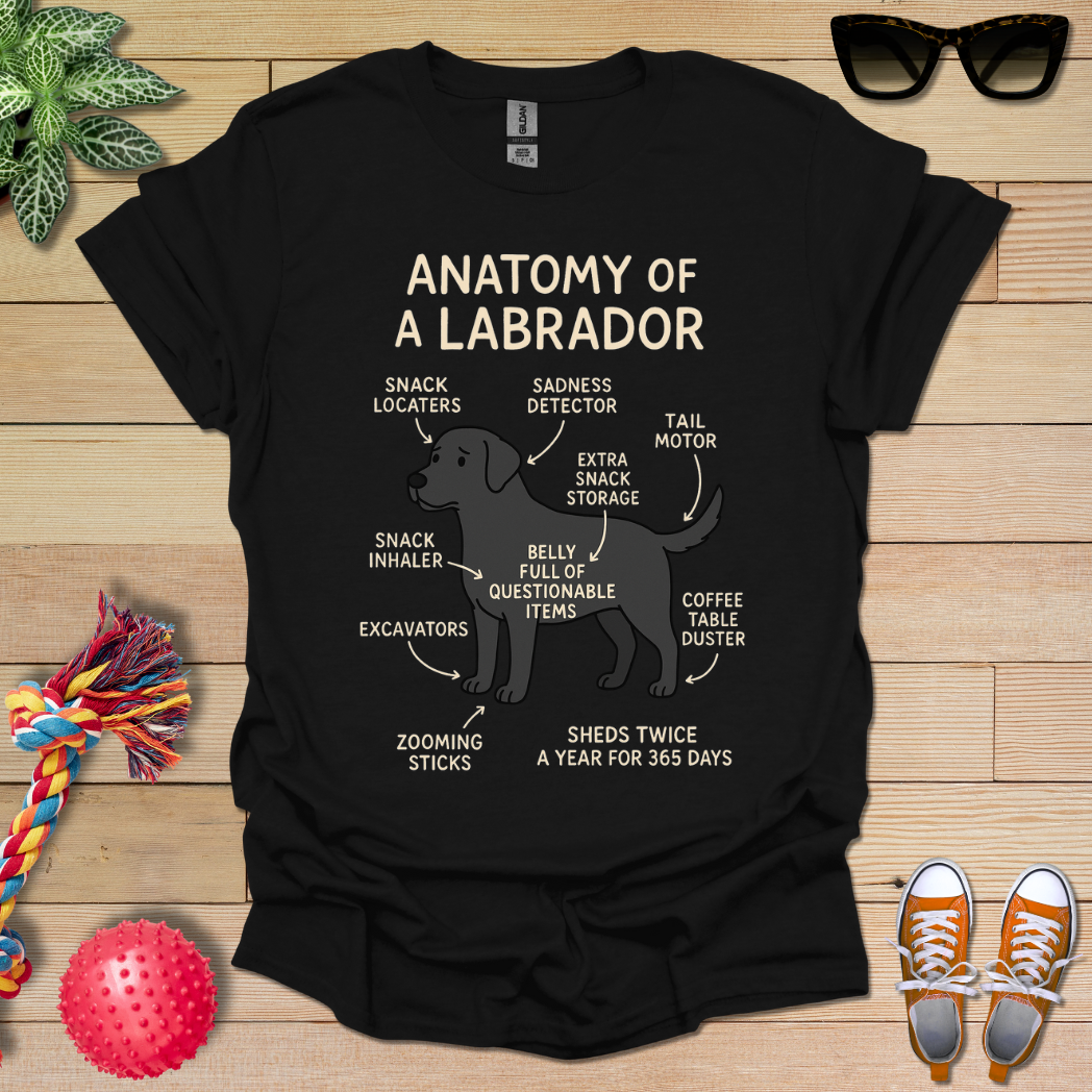 Anatomy of a Labrador T-Shirt