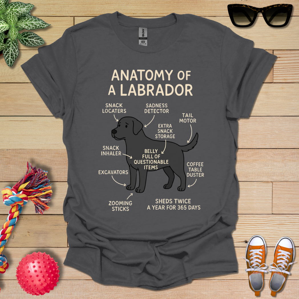 Anatomy of a Labrador T-Shirt
