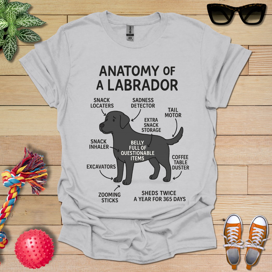 Anatomy of a Labrador T-Shirt