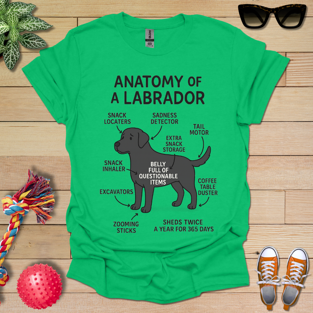 Anatomy of a Labrador T-Shirt