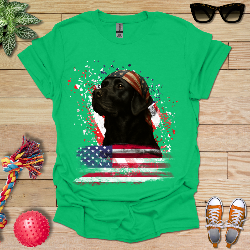 US Statesman T-Shirt