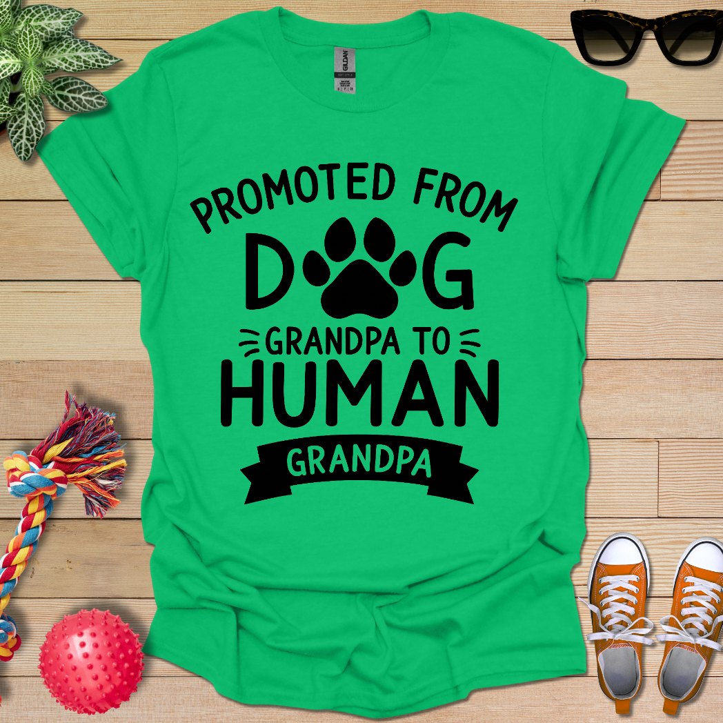 Fancy Promotion T-Shirt