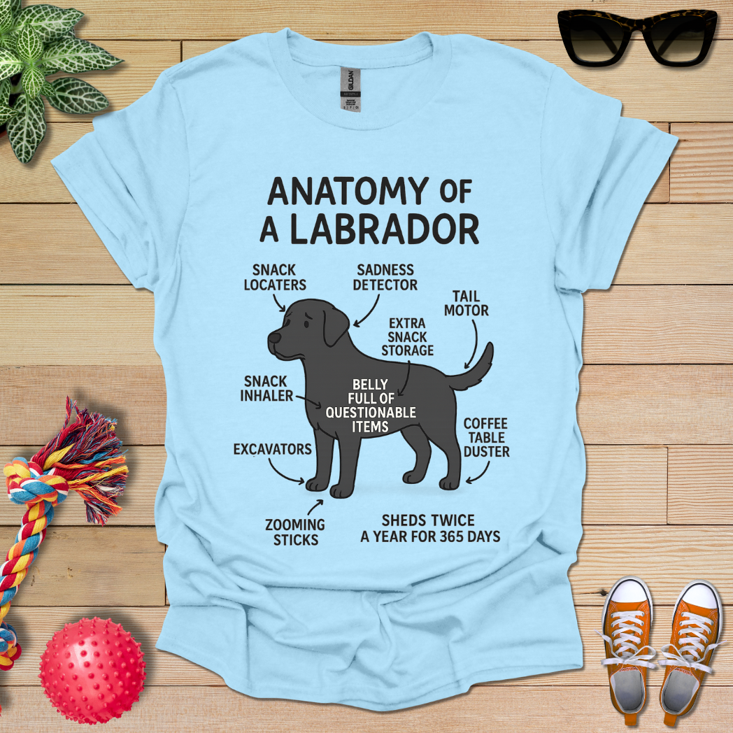 Anatomy of a Labrador T-Shirt