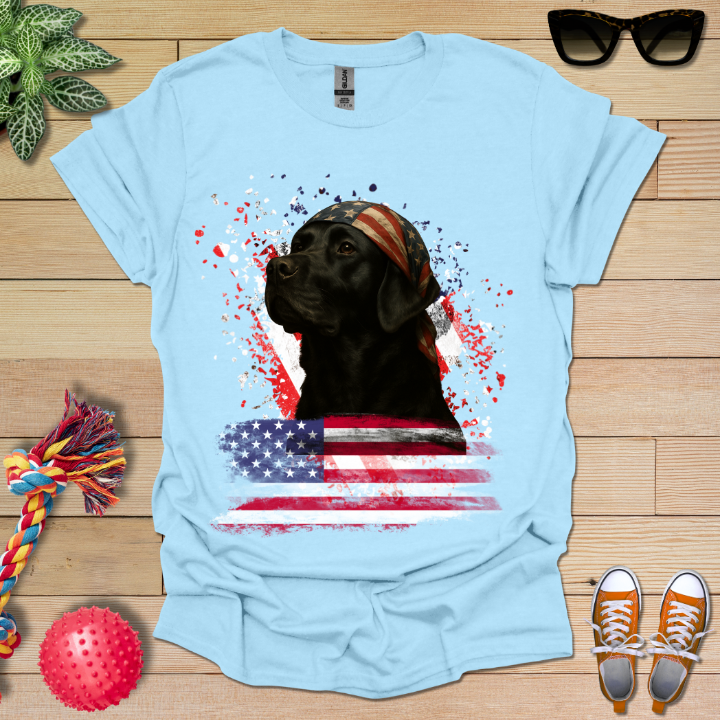 US Statesman T-Shirt