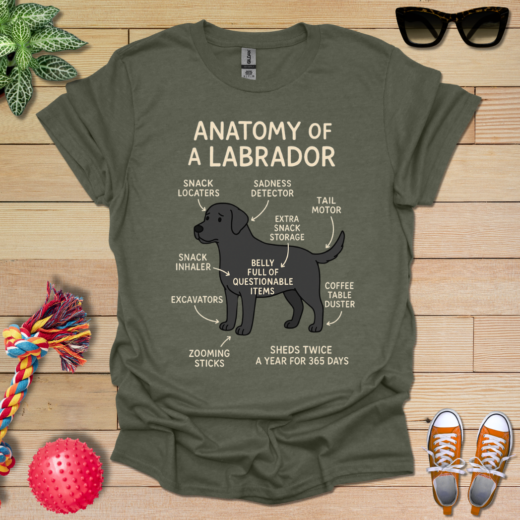 Anatomy of a Labrador T-Shirt