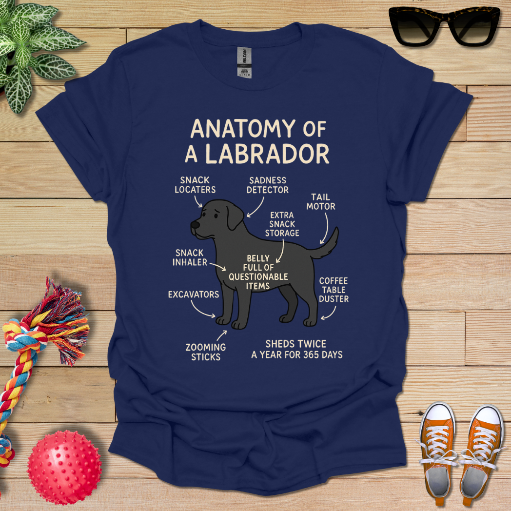 Anatomy of a Labrador T-Shirt