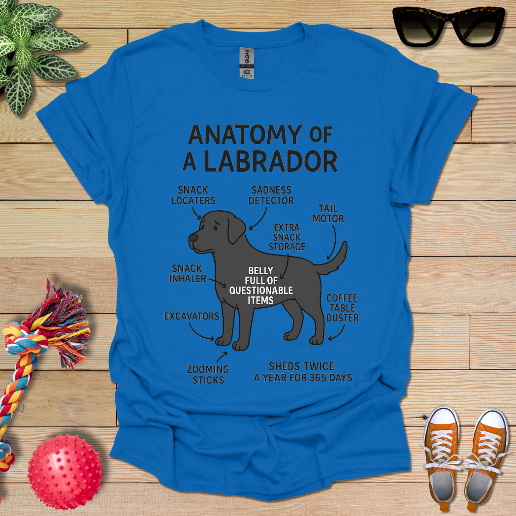 Anatomy of a Labrador T-Shirt