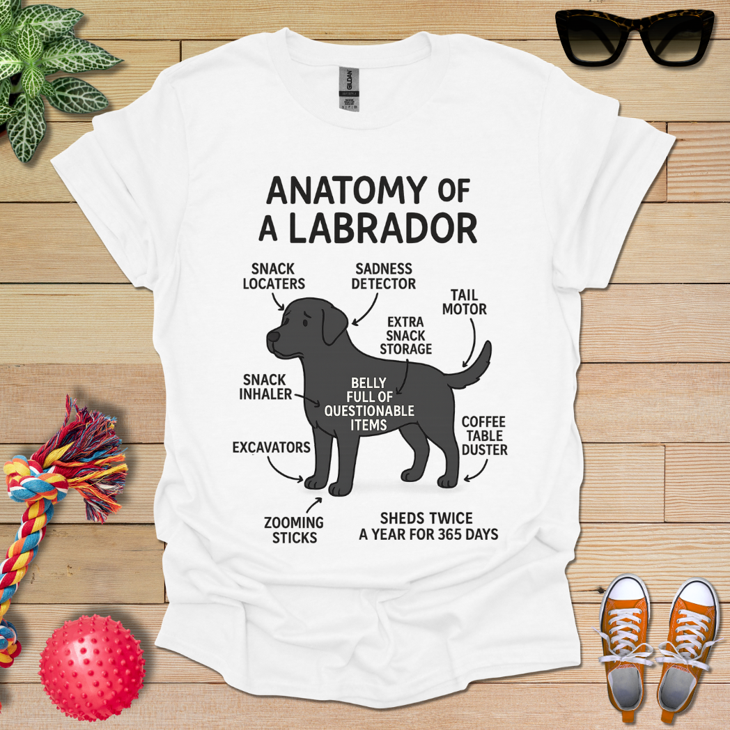 Anatomy of a Labrador T-Shirt