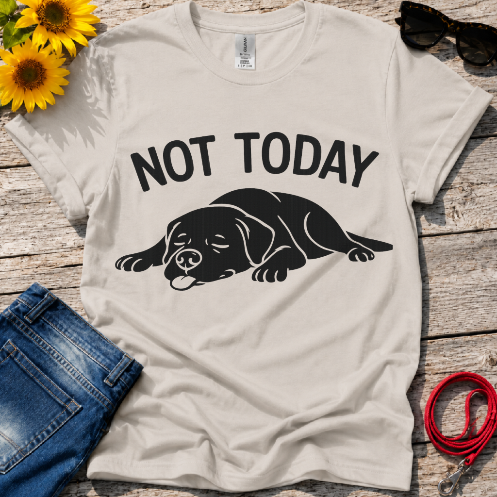 Not in the Moods T-Shirt