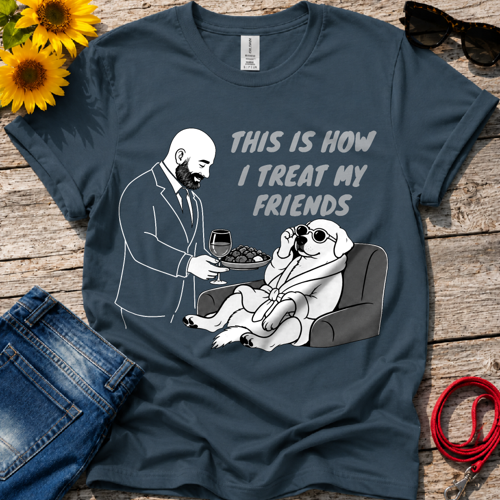 How i Treat my Friends T-Shirt