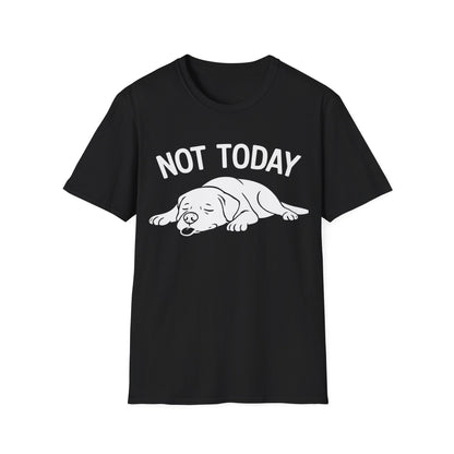 Not in the Moods  T-Shirt