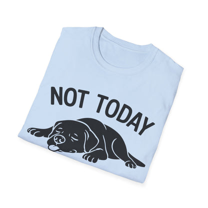 Not in the Moods  T-Shirt