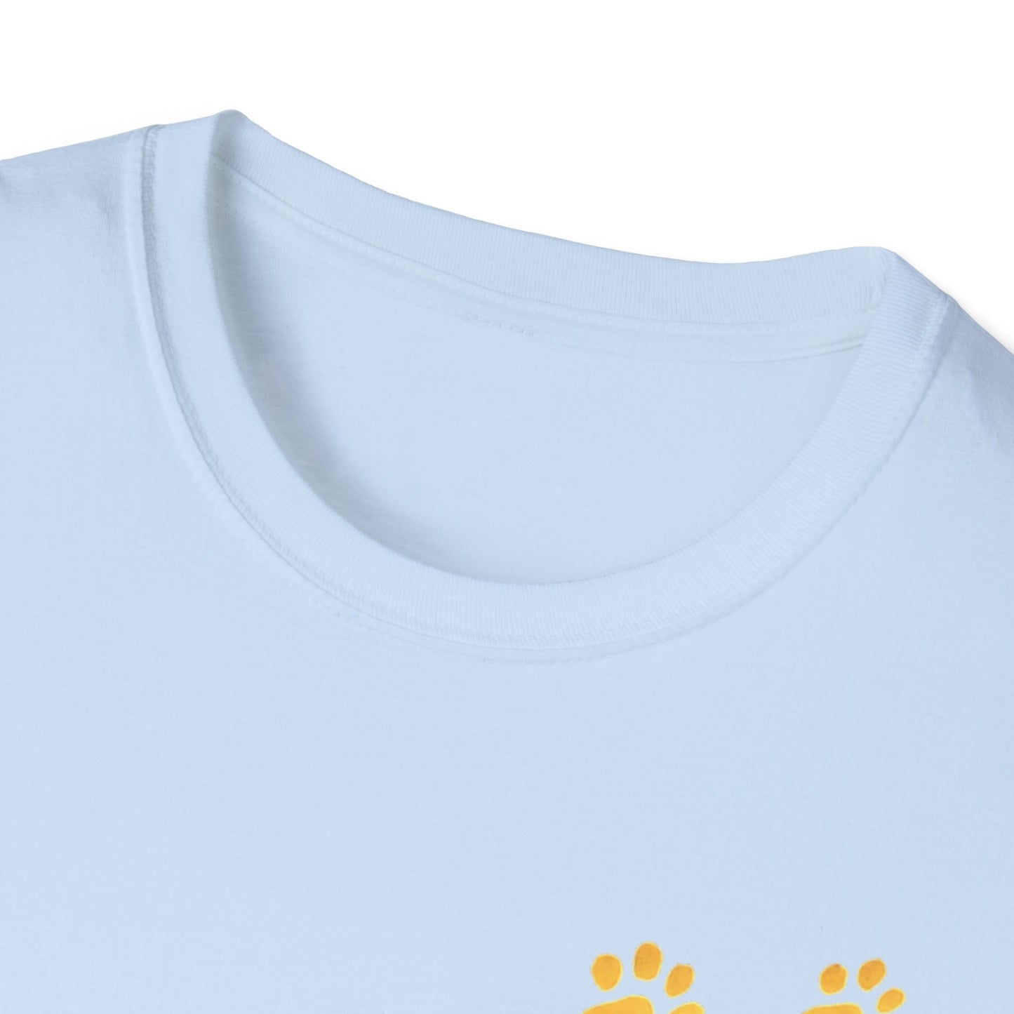 Dandelions during Sunset T-Shirt