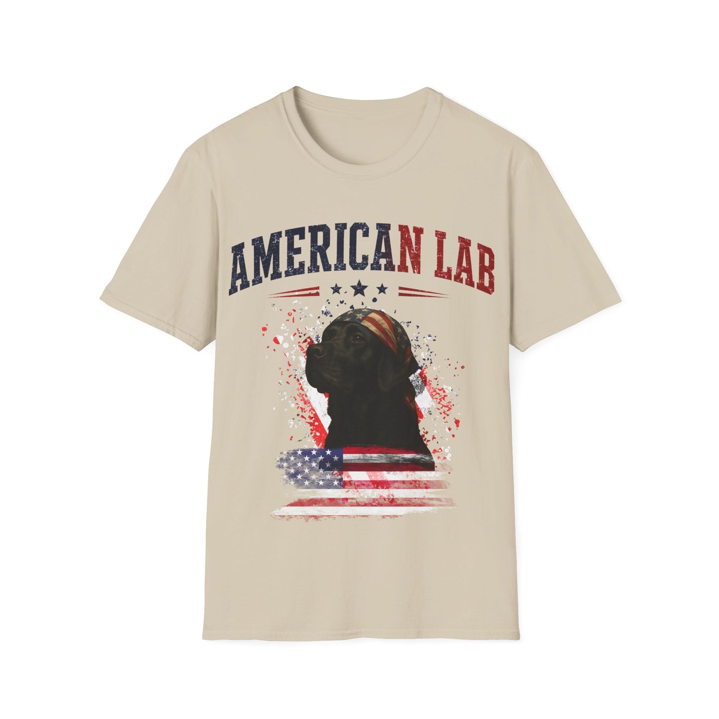 US Statesman T-Shirt