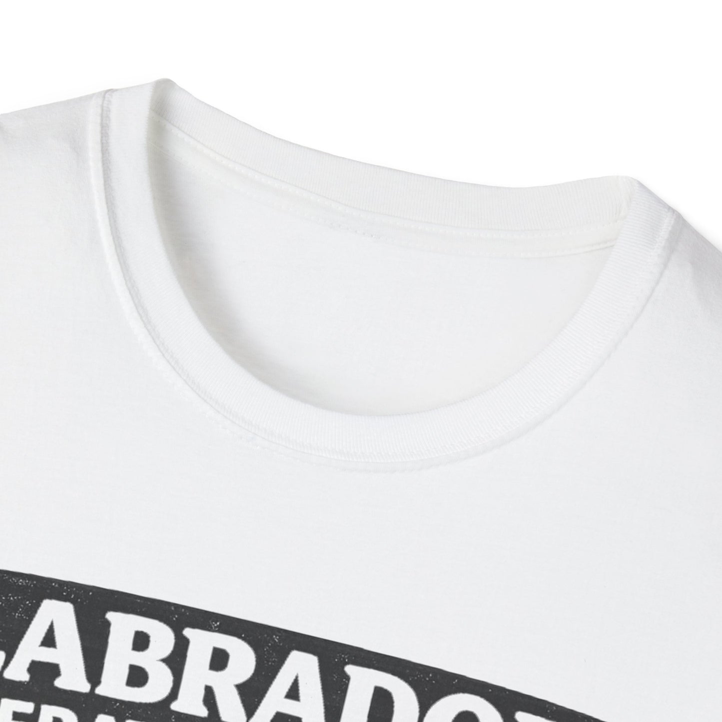 Anatomy of a Labrodor T-Shirt