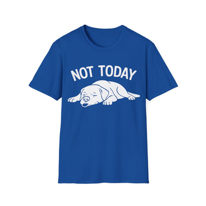 Not in the Moods  T-Shirt