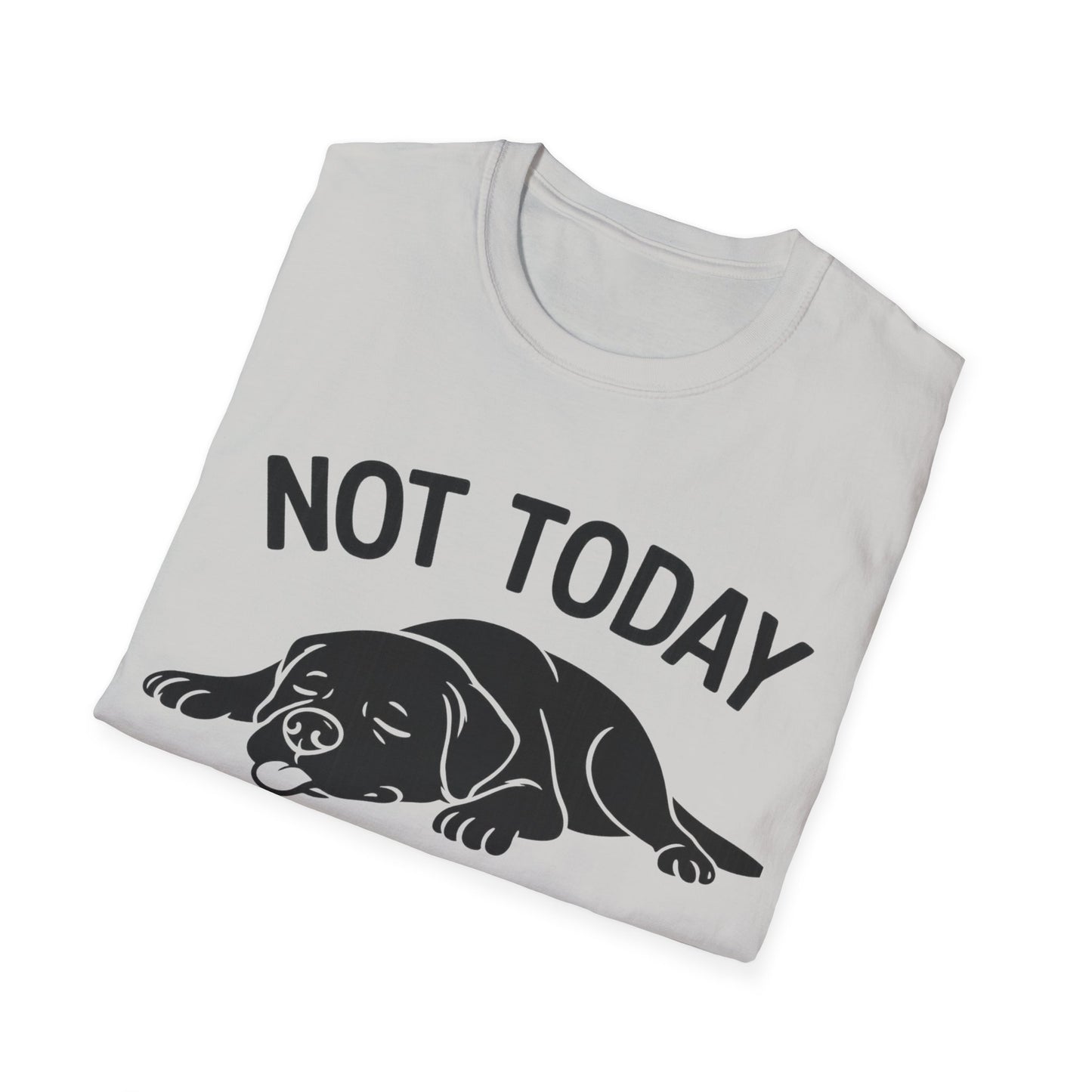 Not in the Moods  T-Shirt