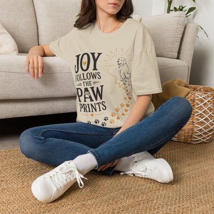Accompany It T-Shirt