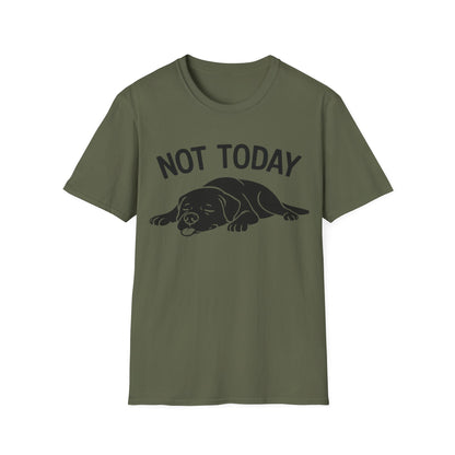 Not in the Moods  T-Shirt