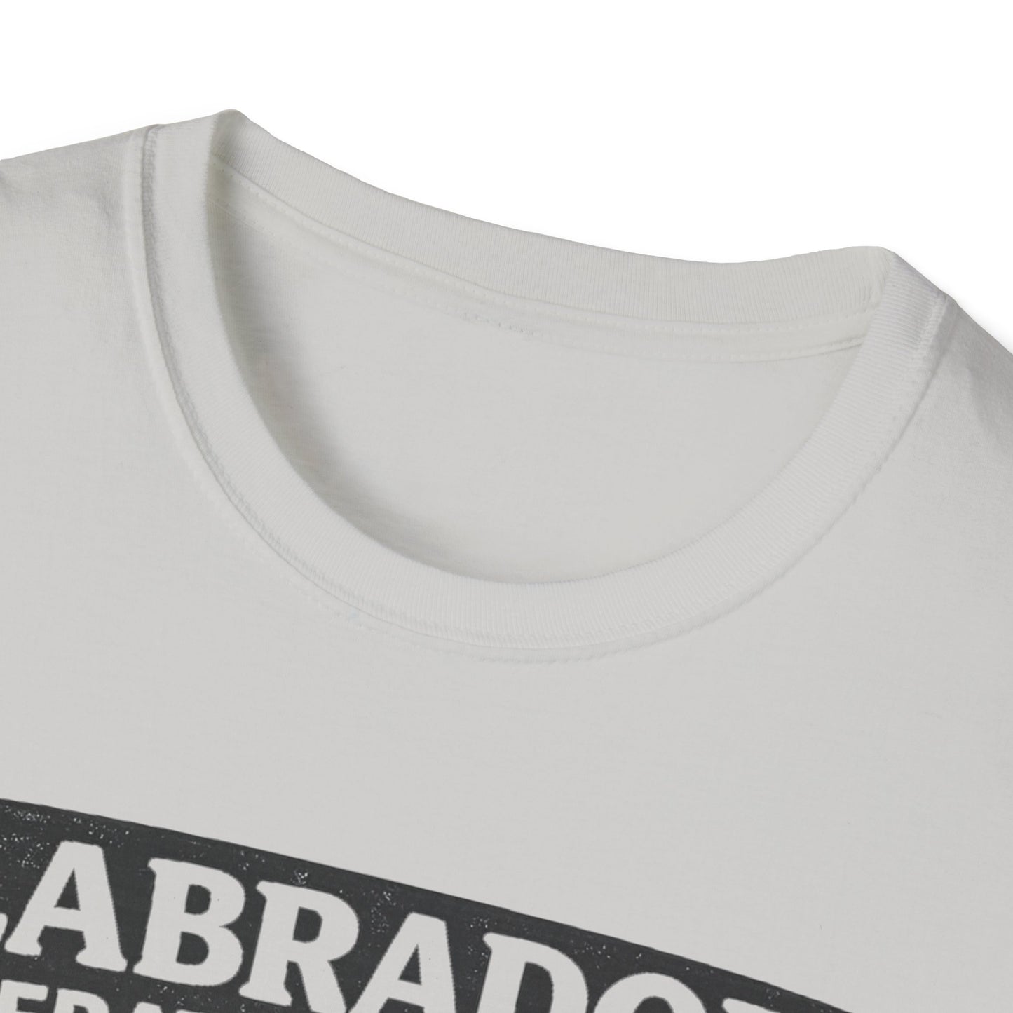 Anatomy of a Labrodor T-Shirt