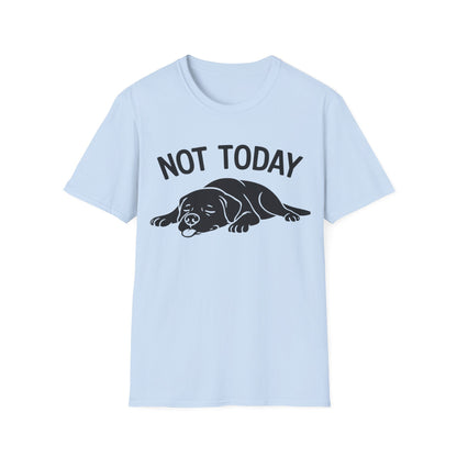 Not in the Moods  T-Shirt