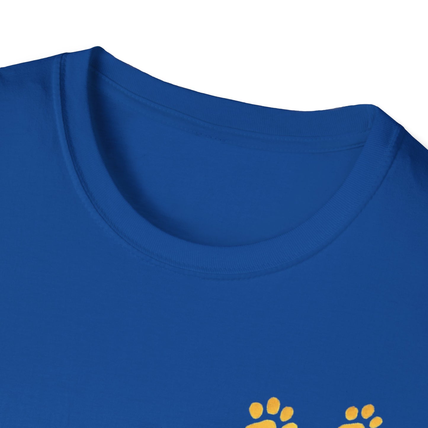 Dandelions during Sunset T-Shirt