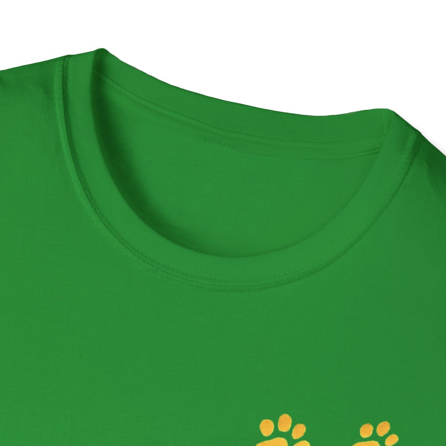 Dandelions during Sunset T-Shirt