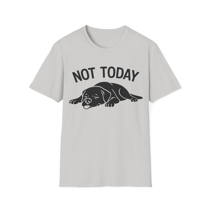 Not in the Moods  T-Shirt