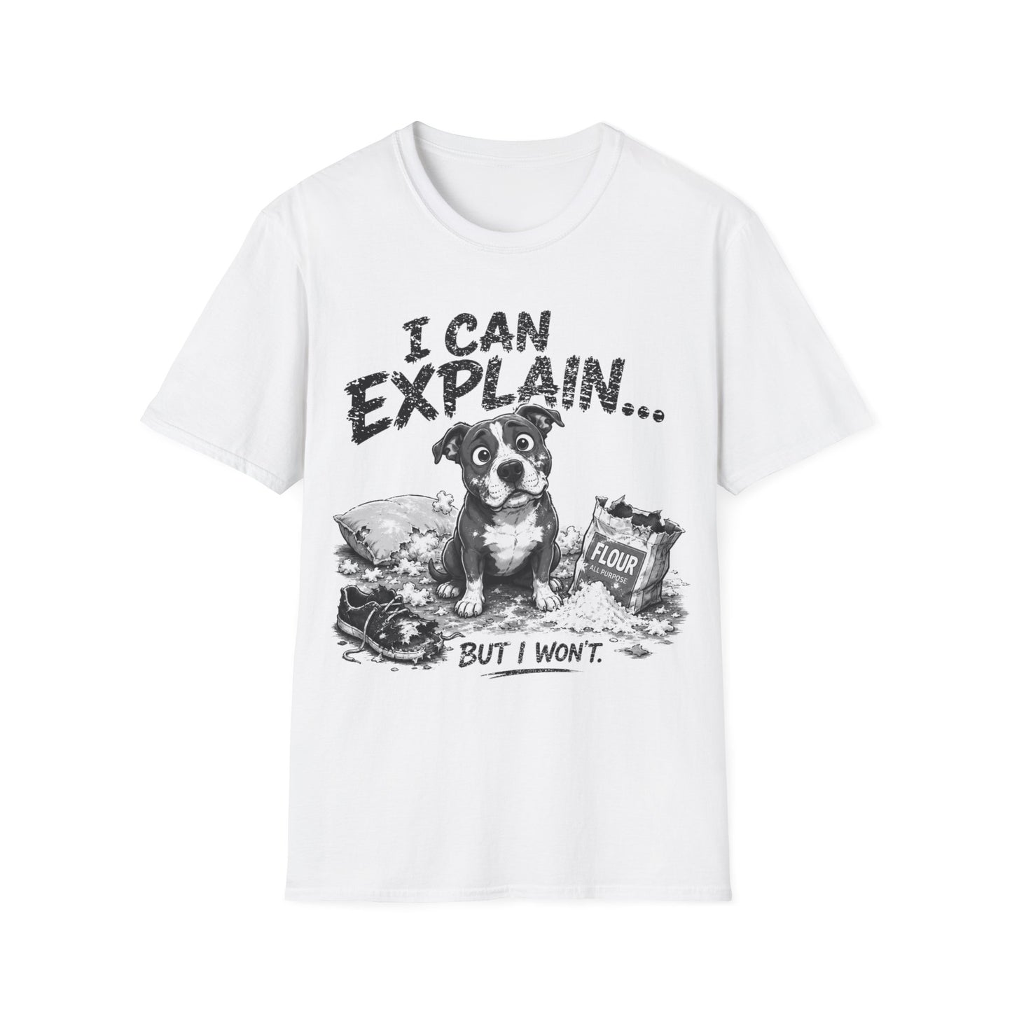 Let Me Explain T-Shirt