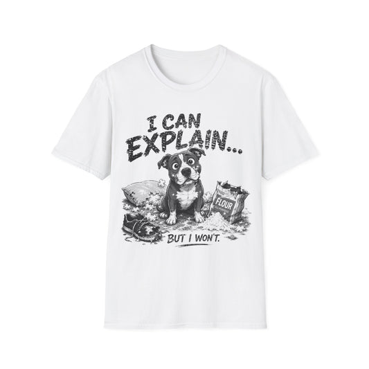 Let Me Explain T-Shirt