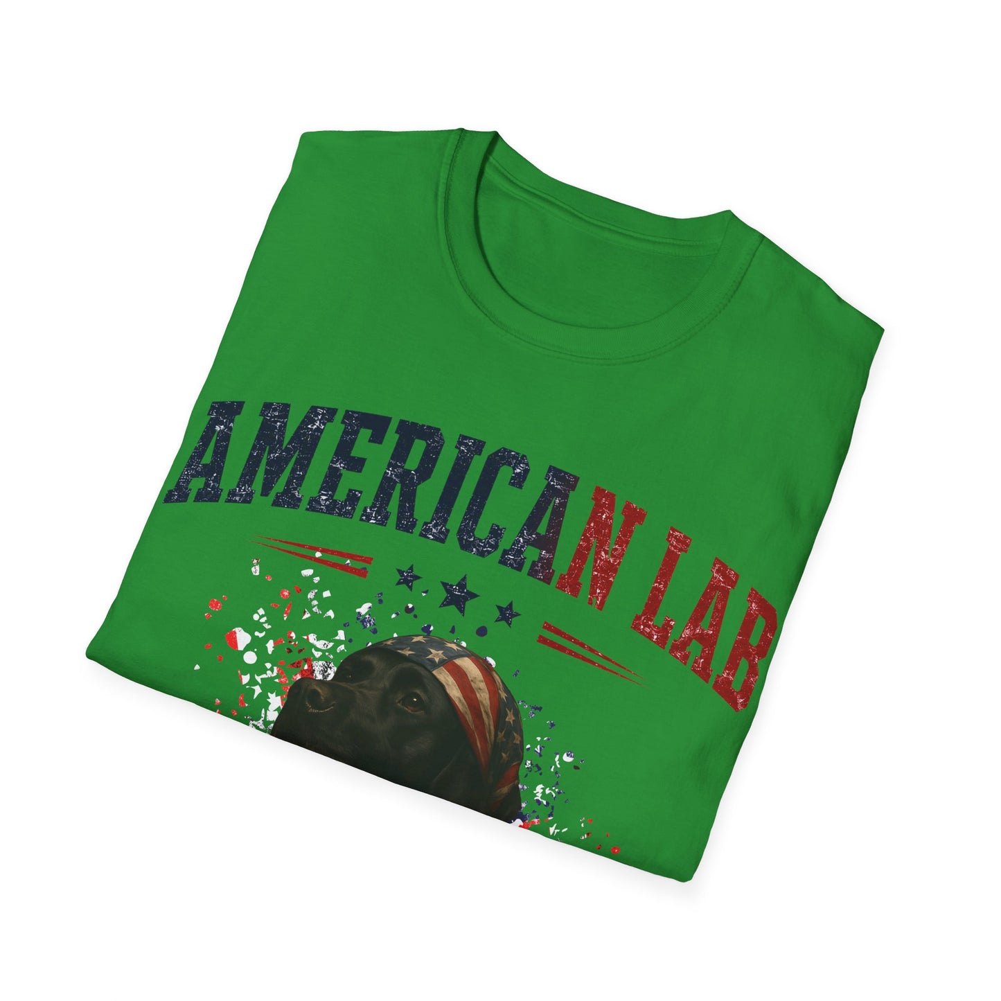US Statesman T-Shirt