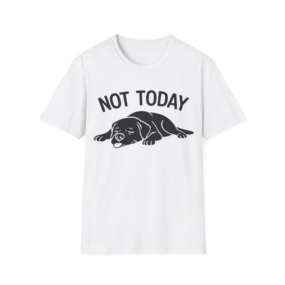 Not in the Moods  T-Shirt