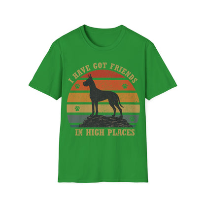 Friends in High Places T-Shirt