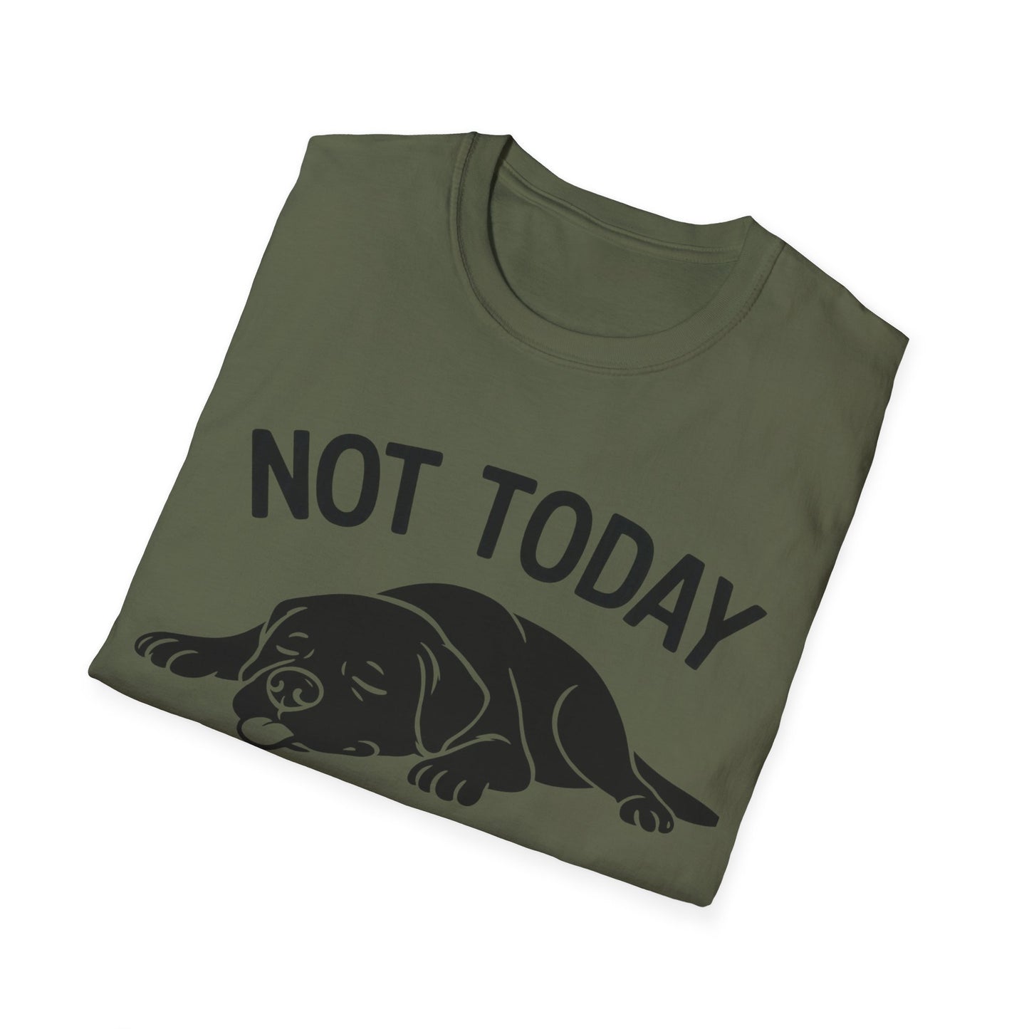 Not in the Moods  T-Shirt