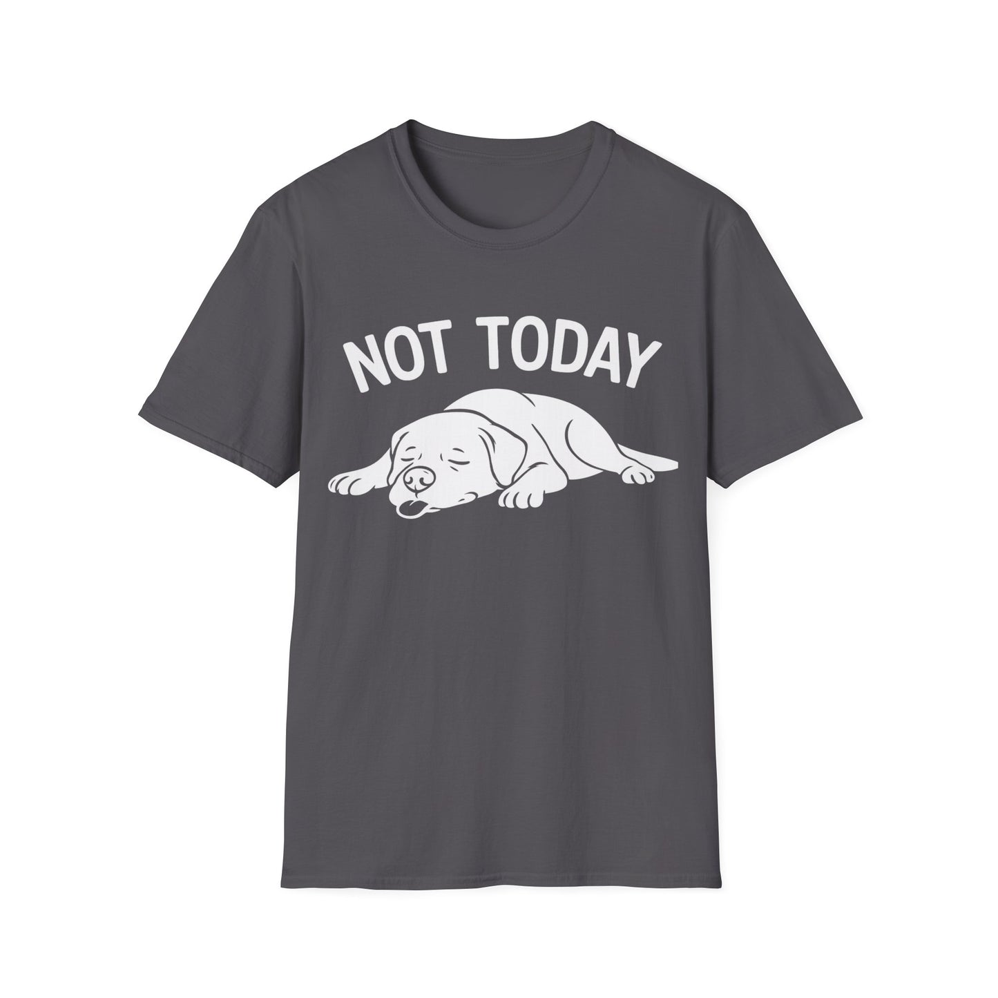 Not in the Moods  T-Shirt