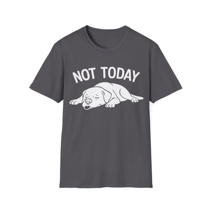 Not in the Moods  T-Shirt
