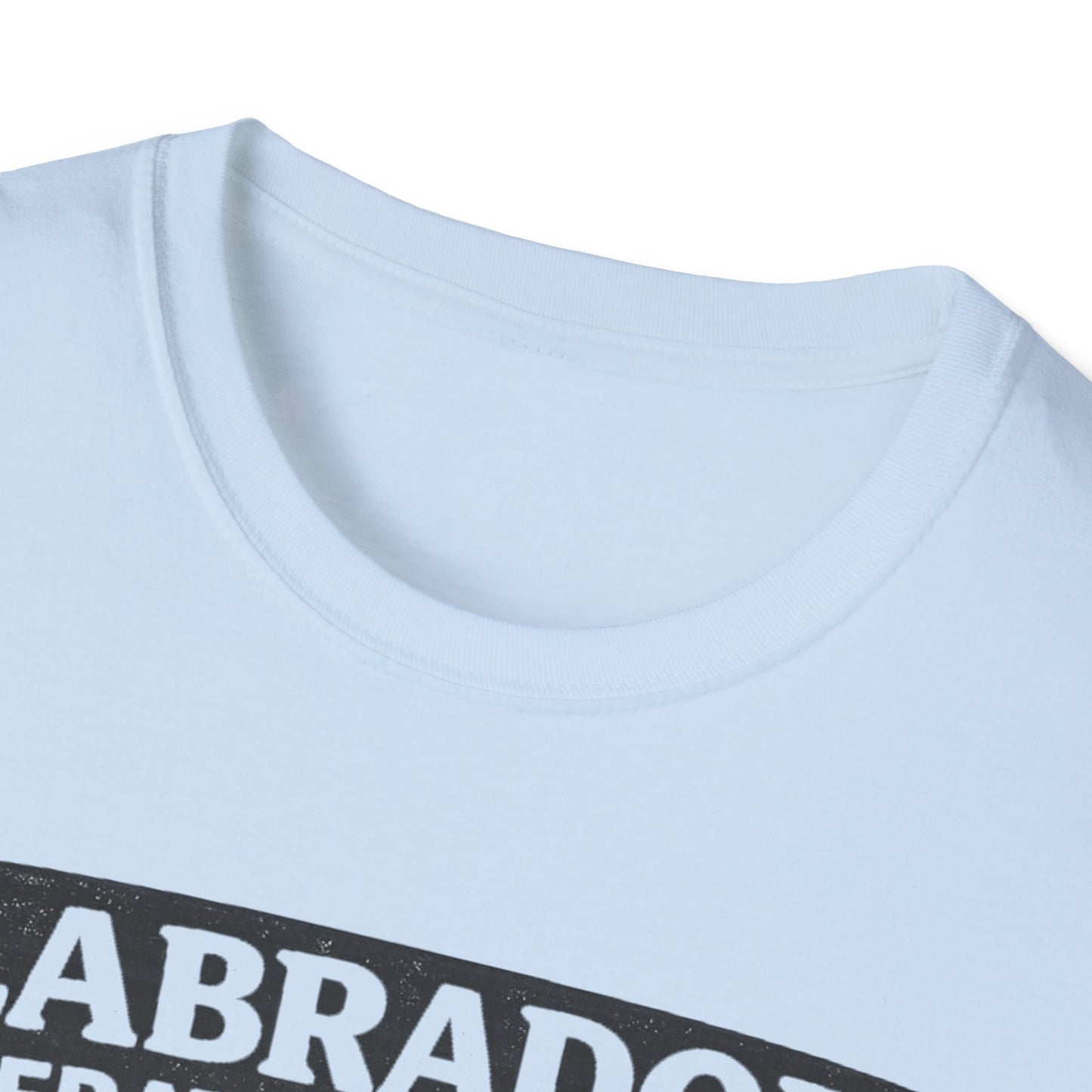 Anatomy of a Labrodor T-Shirt