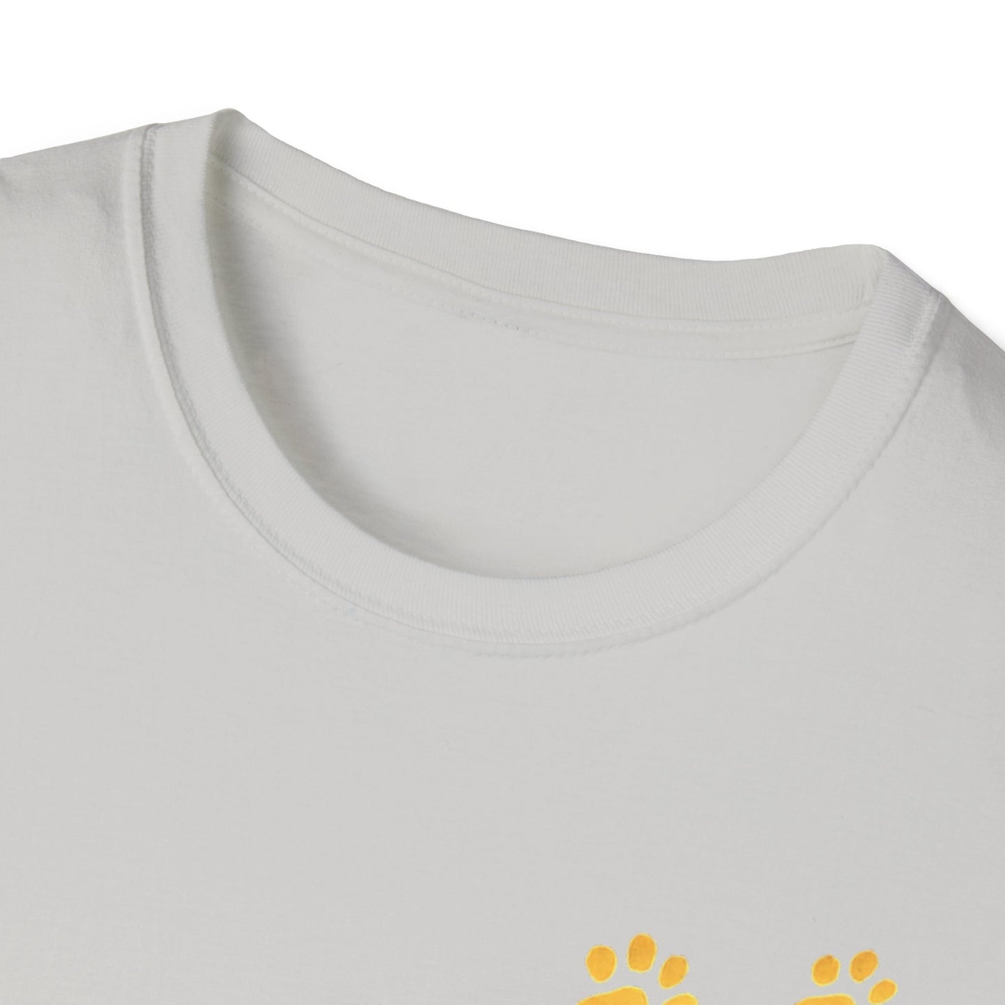 Dandelions during Sunset T-Shirt