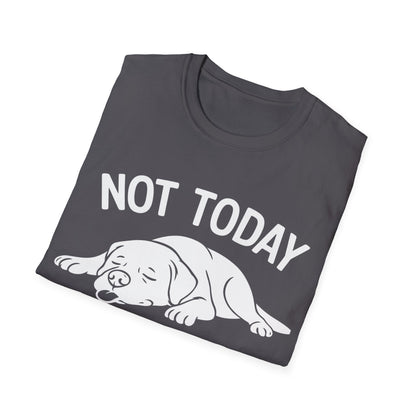 Not in the Moods  T-Shirt