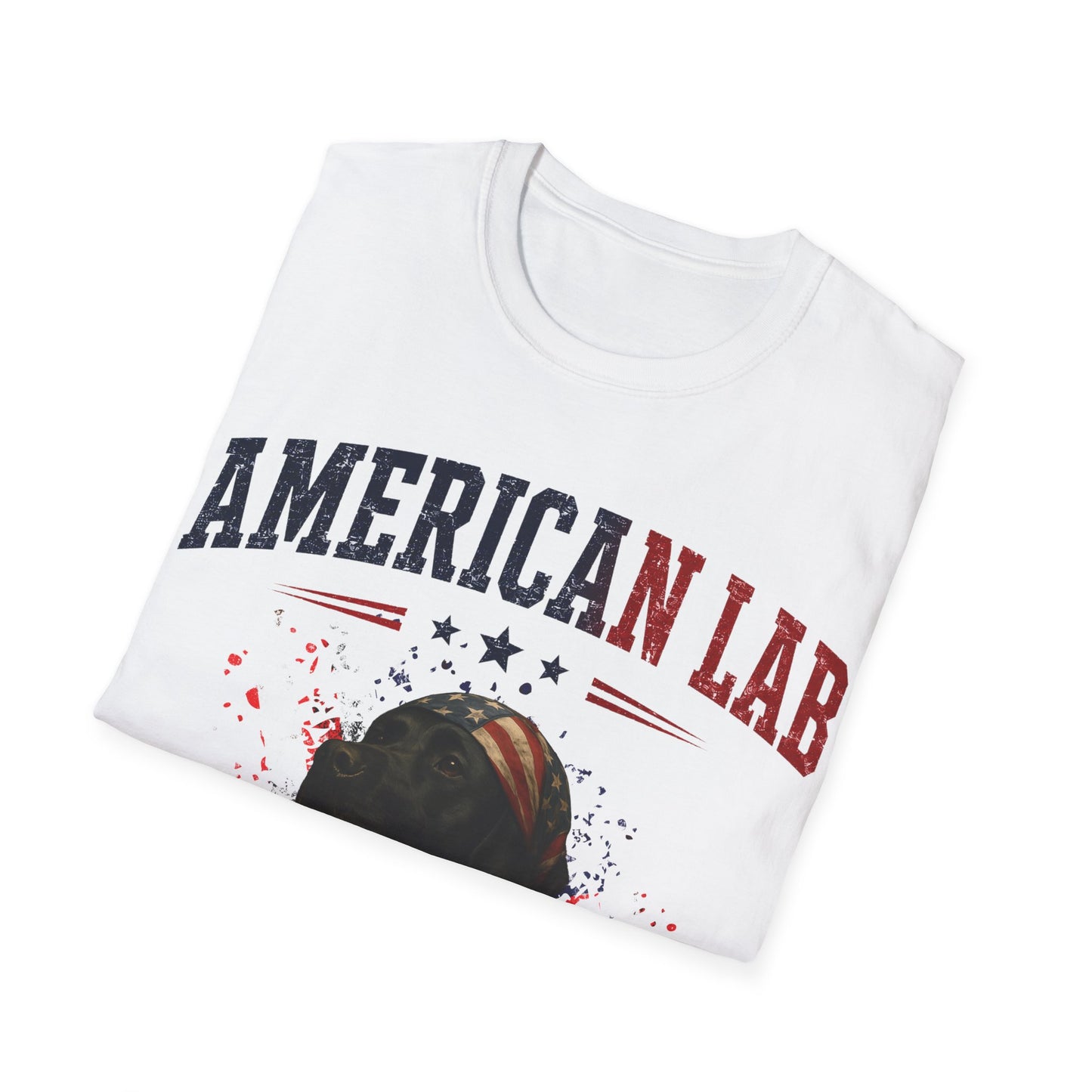 US Statesman T-Shirt