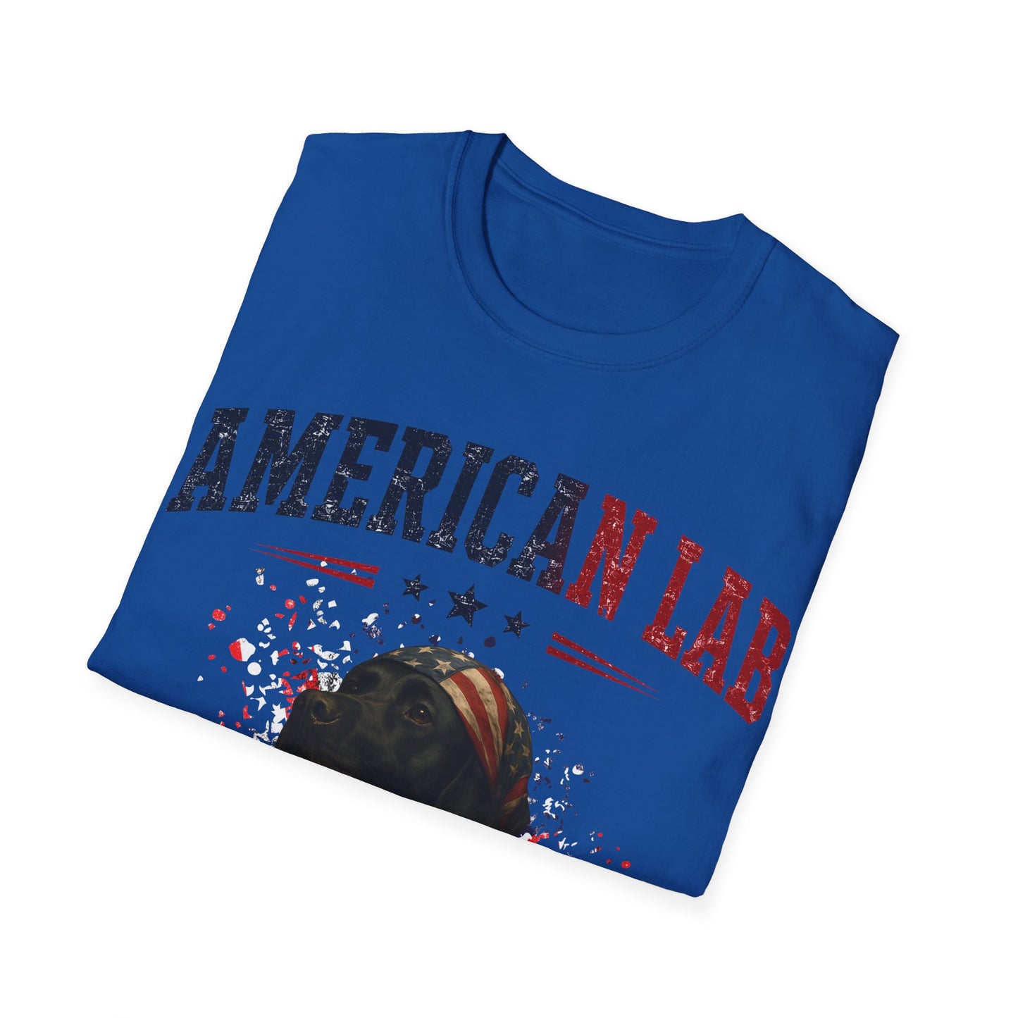 US Statesman T-Shirt
