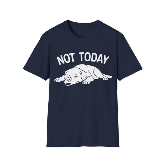 Not in the Moods  T-Shirt