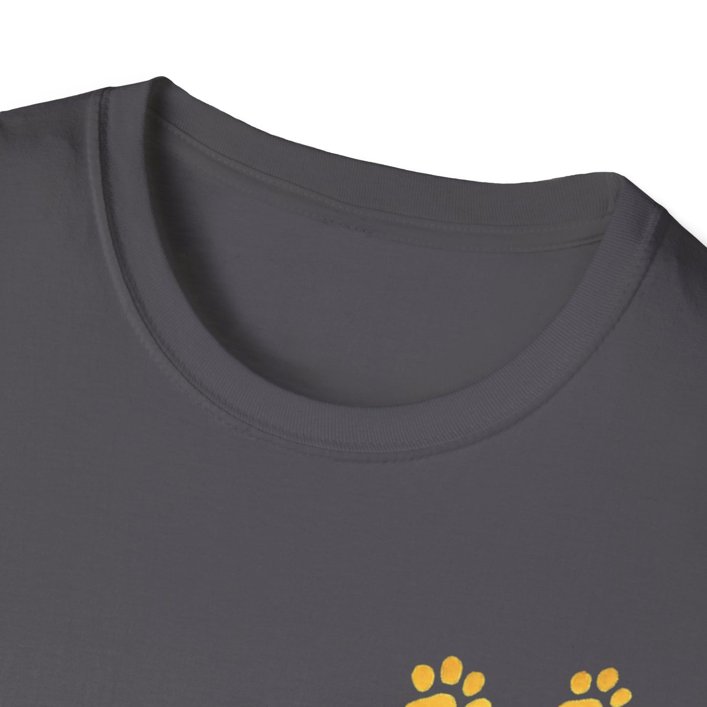 Dandelions during Sunset T-Shirt