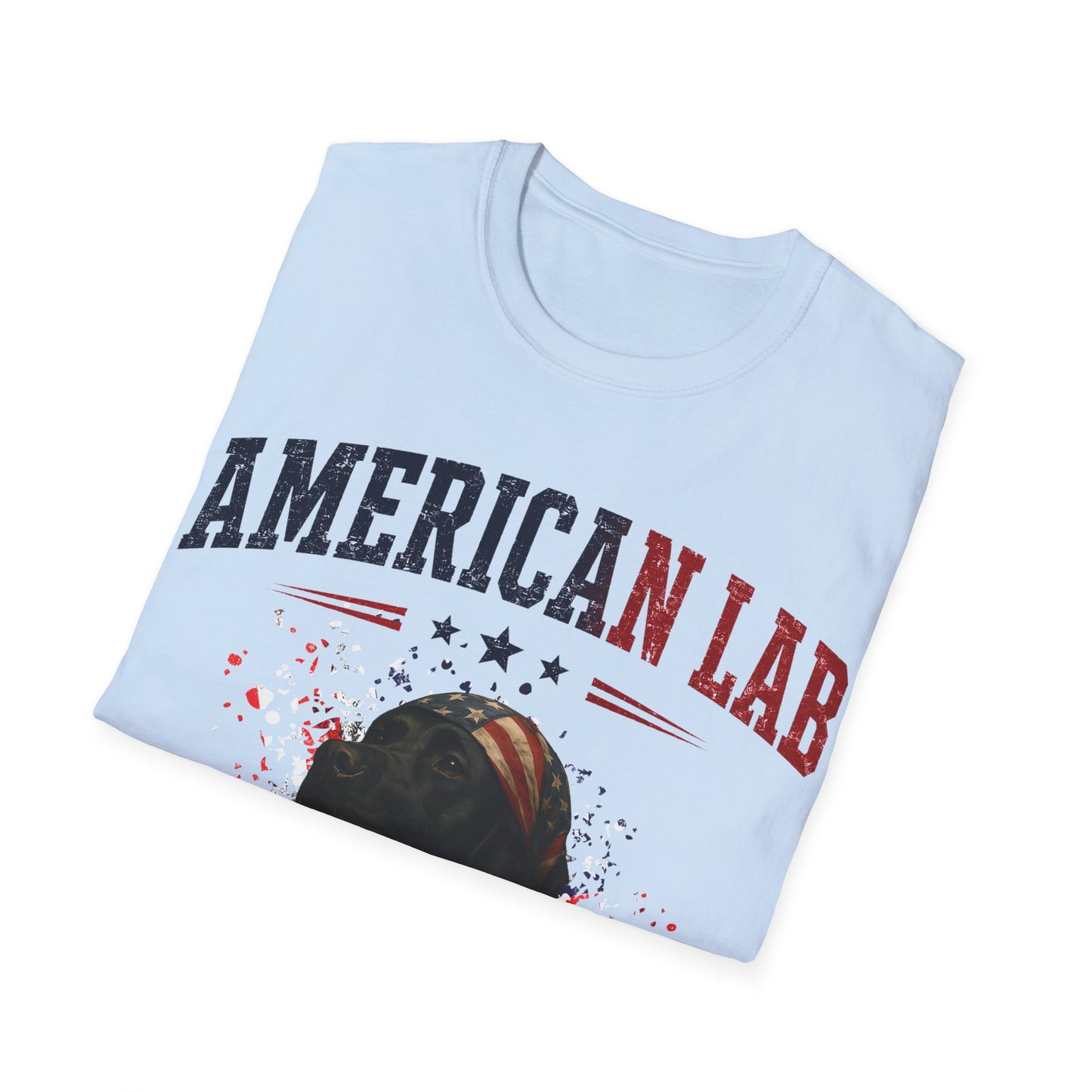 US Statesman T-Shirt