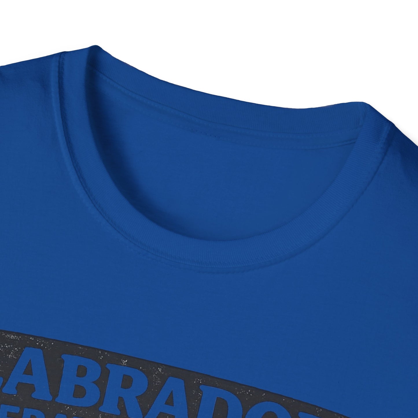 Anatomy of a Labrodor T-Shirt