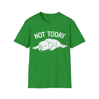 Not in the Moods  T-Shirt