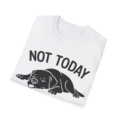 Not in the Moods  T-Shirt