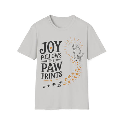 Accompany It T-Shirt