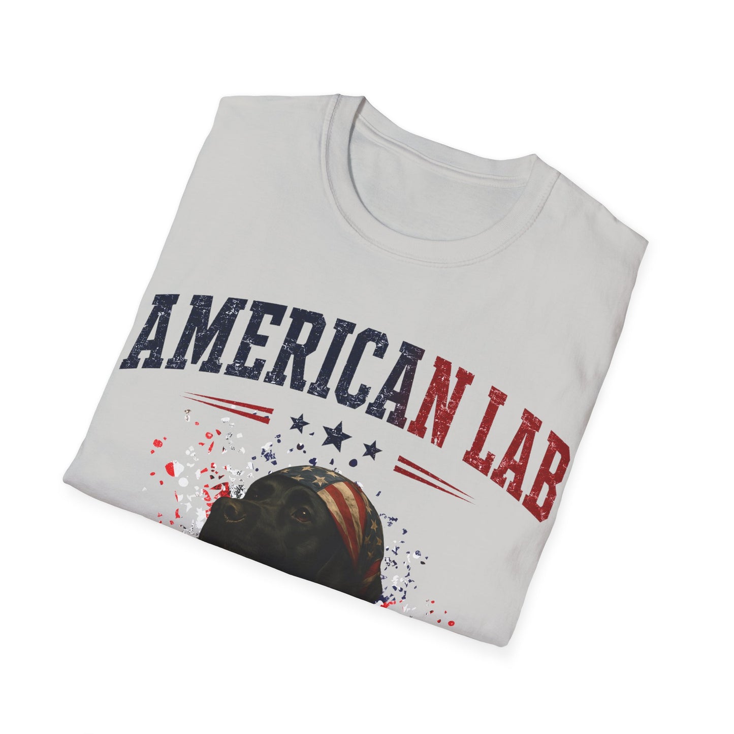 US Statesman T-Shirt