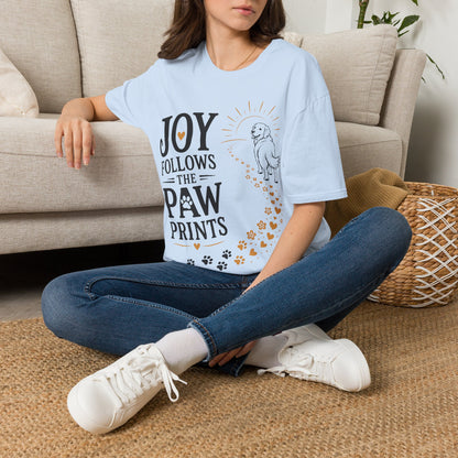Accompany It T-Shirt